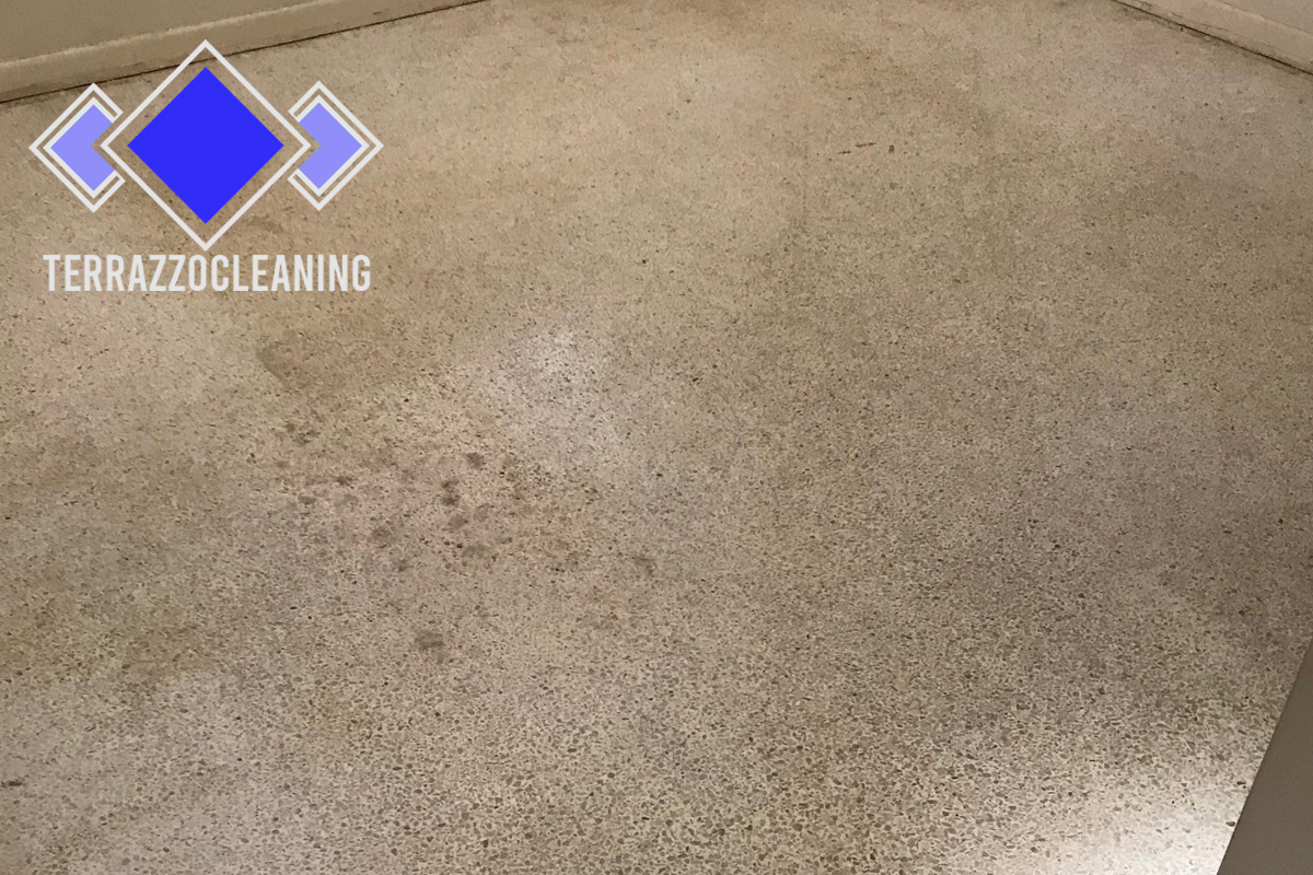 Best Cleaning Method of Terrazzo Floor Boca Raton