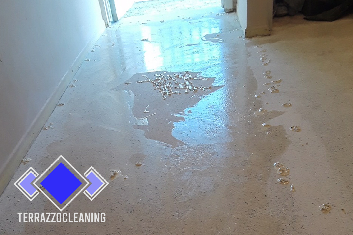 Cleaning and Polish Terrazzo Floors Miami