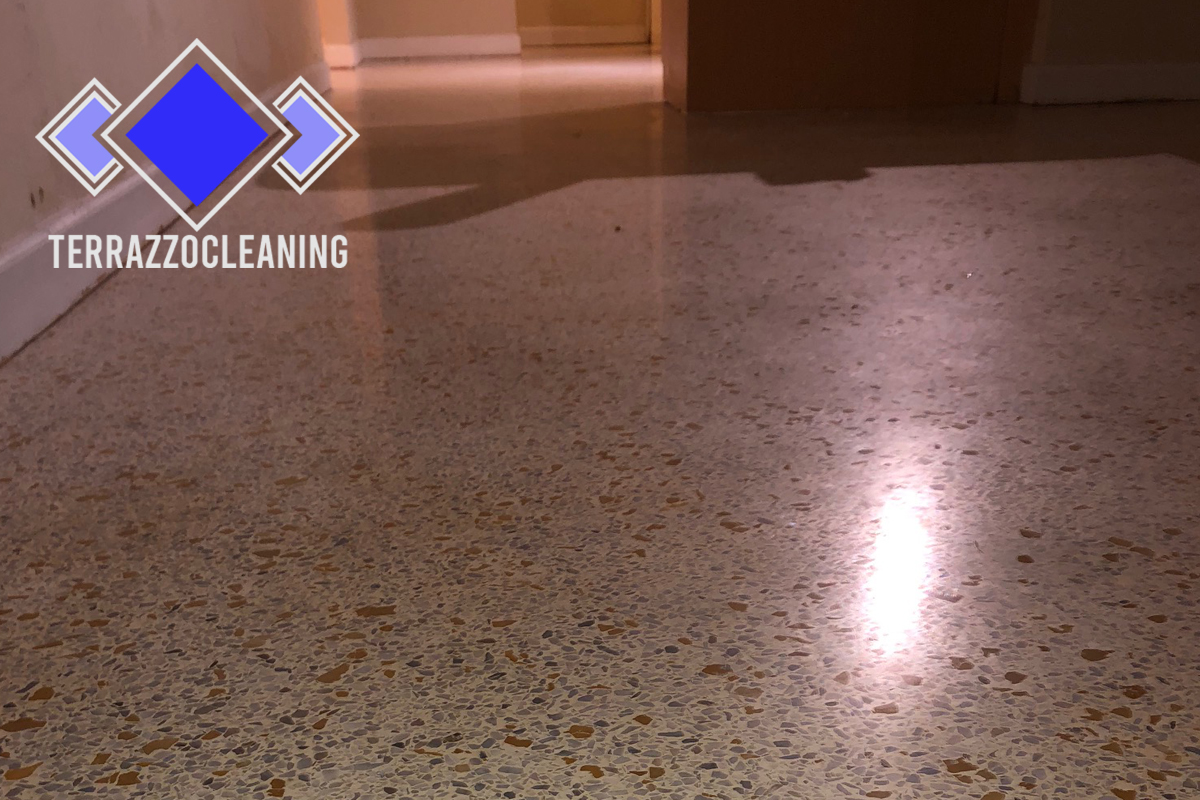 Cleaning and Restoration Terrazzo Floor Miami