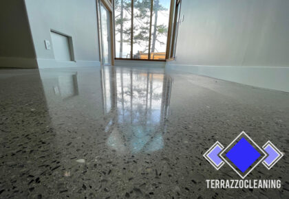 Specialty Terrazzo Floor Repair and Restoration in Miami, Florida