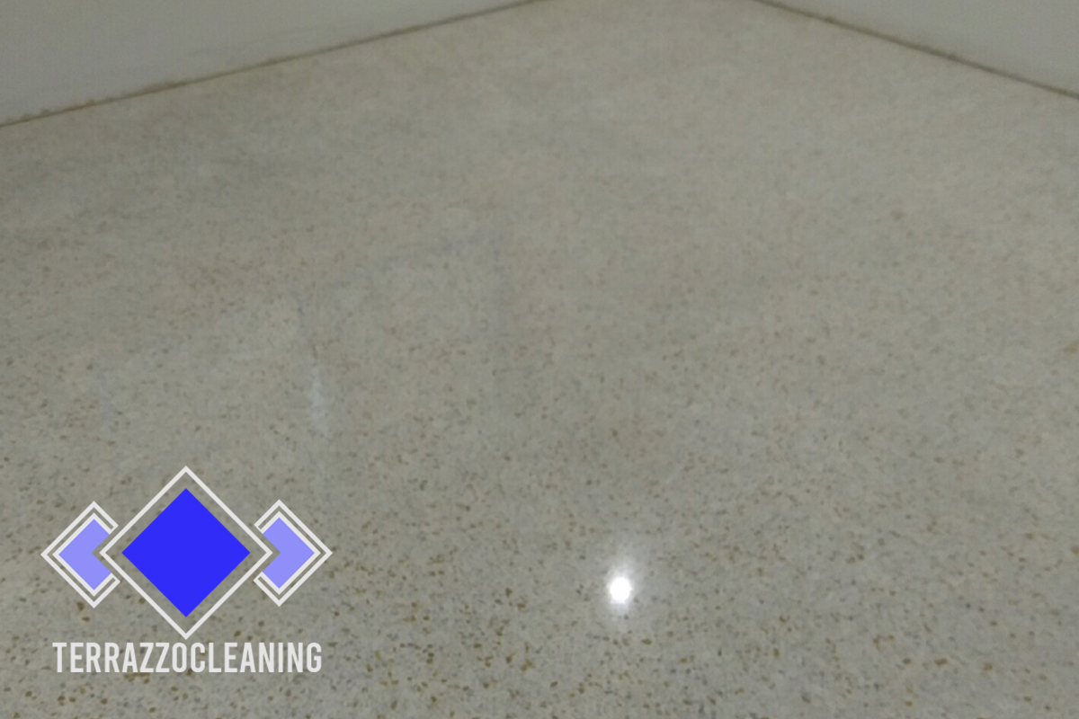 Clean Polishing Terrazzo Floors Experts Fort Lauderdale