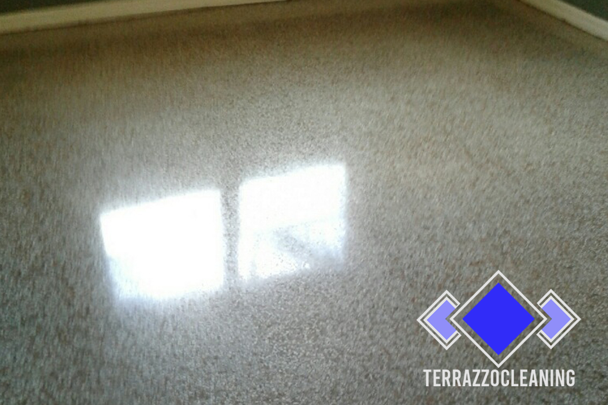 Terrazzo Floor Cleaning Polish Miami