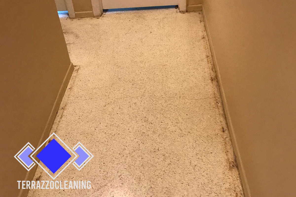 Cleaning for Terrazzo Floors Fort Lauderdale