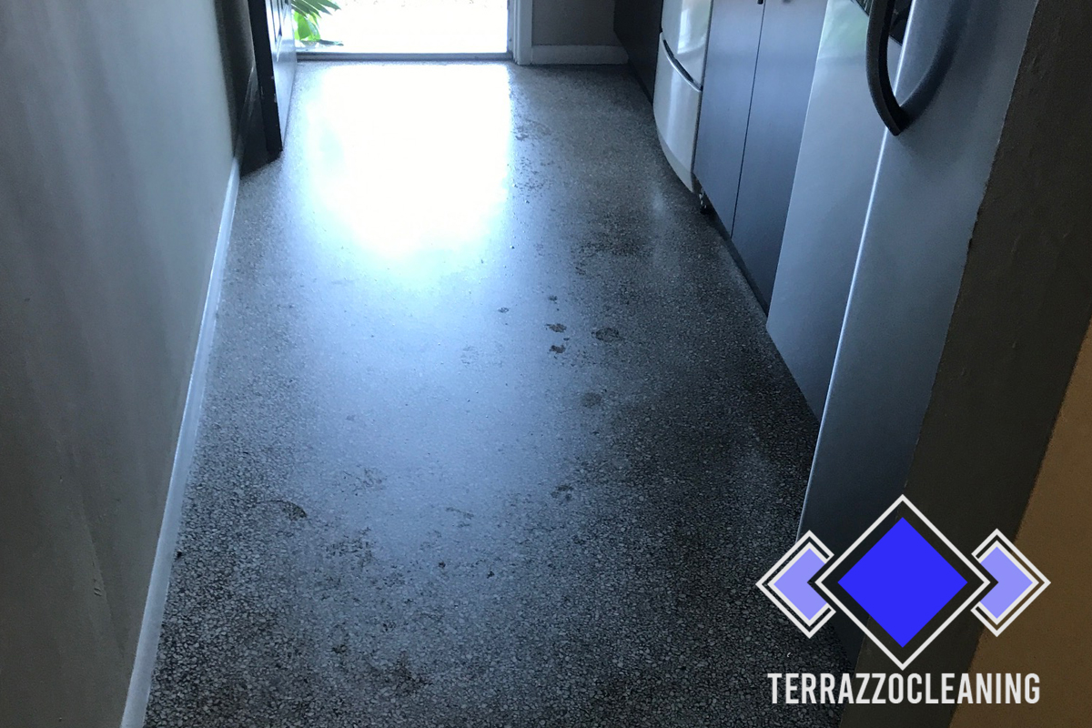 Cleaning Terrazzo Floors Process Miami