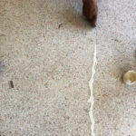 Specialty Terrazzo Floor Repair and Restoration in Miami, Florida